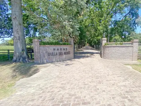 San Andres de Giles