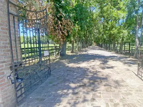 Haras "Orilla del Monte" -  64 has - San Andrés de Giles