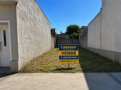 lote para desarrollo Pellegrini 1147