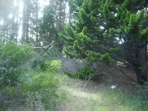 LOTE de 475M2 ZONA RESIDENCIAL - Mar Azul | Cod. 0316 |