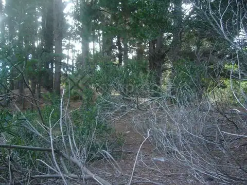 Terreno en Venta 47,50  mts Frente