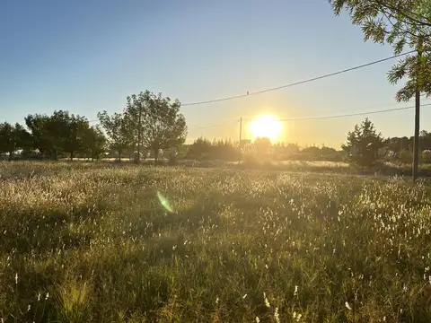 Terreno en Venta de 2010,0 m2