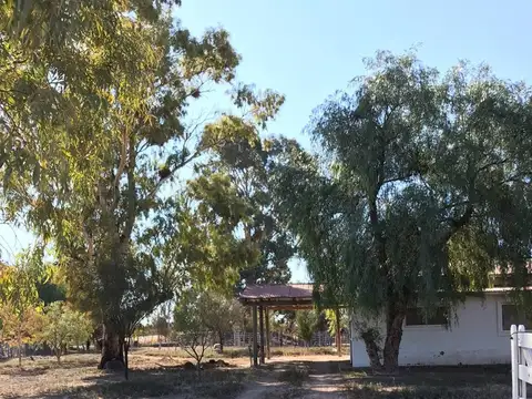 VENTA CAMPO GANADERO 7200ha MZA. APTO PISTACHIO