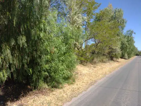 Terreno en Venta en San Rafael, USD 30.000