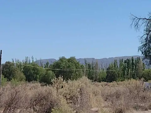 Terreno en Venta de 26000,0 m2