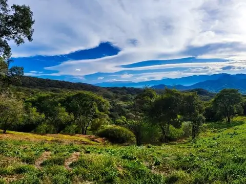Terreno - Zona Norte