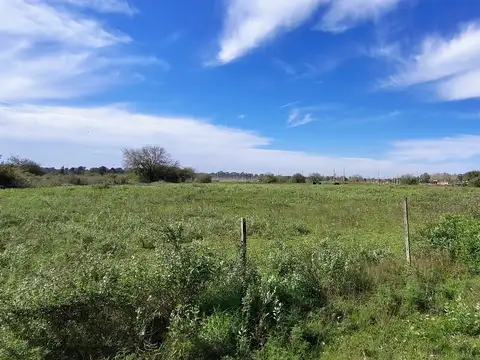 Terreno en Venta de 51700,0 m2