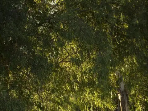 Venta Lote En Barrio Quebradas,