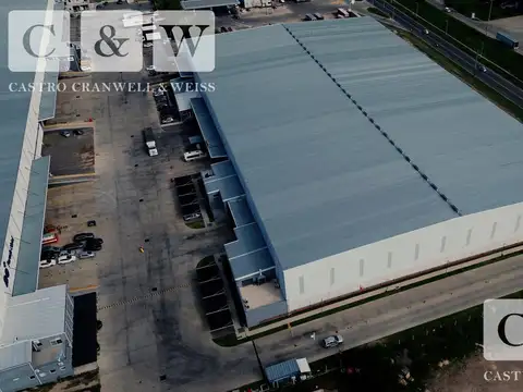 Antonio Cervetti 1300