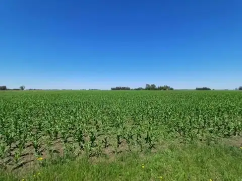 Camino Costa Azul