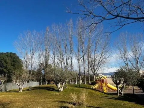 Mariano Boedo 100