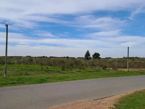 Fracción de chacra Ruta1 K15.500 4,5 hectáreas