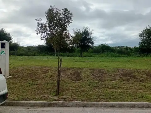 Terreno en Venta de 350,0 m2