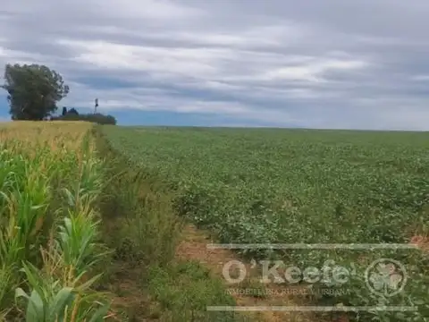 Campo en Venta de 76 has en Baradero
