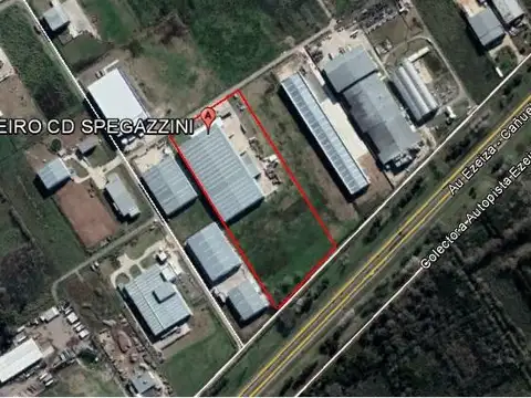 Torcuato Di Tella al 1700