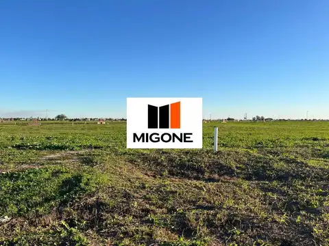 NUEVOS AIRES 100