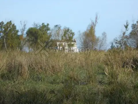 Rio Parana