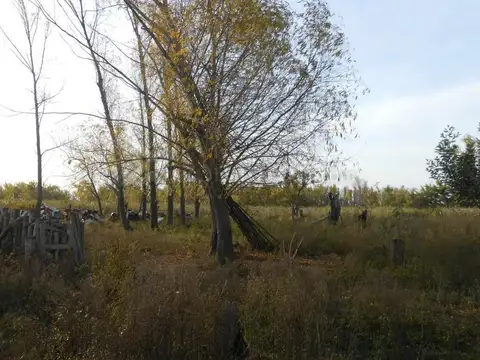 Campo 62 Has. en Isla Aparicio (Isla de Pérez) San Pedro