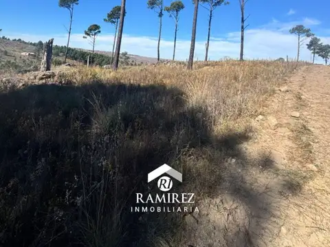 Terreno en Venta de 1200,0 m2