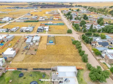 LOTE  SALINAS CHINAS 4200