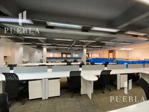 Oficina en Alquiler A Estrenar