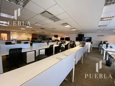 Oficina en Alquiler A Estrenar