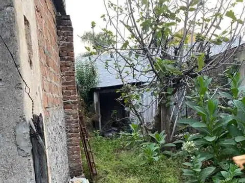 Crescencio Acosta 1200