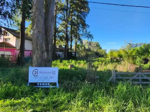 Oficina en Venta 2025 años