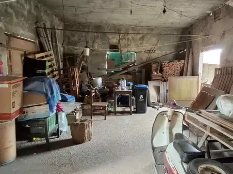 Faisan solar 1000