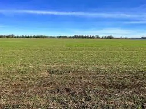 Campo 49has Ganadero Agricola