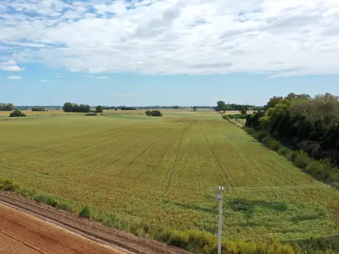 Campo en Venta de 123  ha
