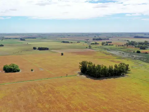 Campo en Venta de 123  ha