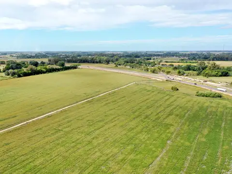 123 Has. Campo sobre Ruta 8 en Sarmiento