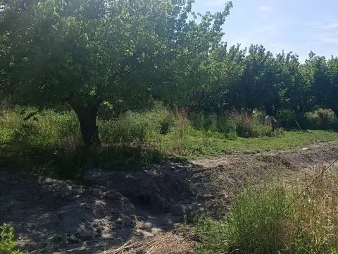 Terreno en Venta en Las Catitas, USD 45.000
