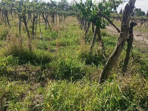 Terreno en Venta de 284000,0 m2