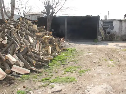 Curuzu Cuatia 100
