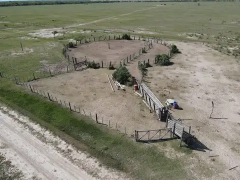 1020 hectáreas ganaderas con 36 hectáreas de chacra - Las Colonias