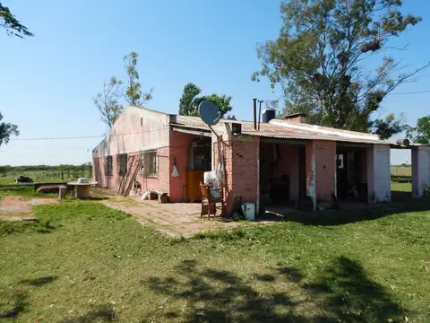 Camino público