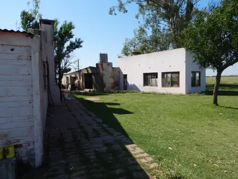 Campo en Venta Ganadero
