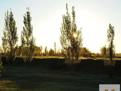Terreno en Venta de 1100,0 m2