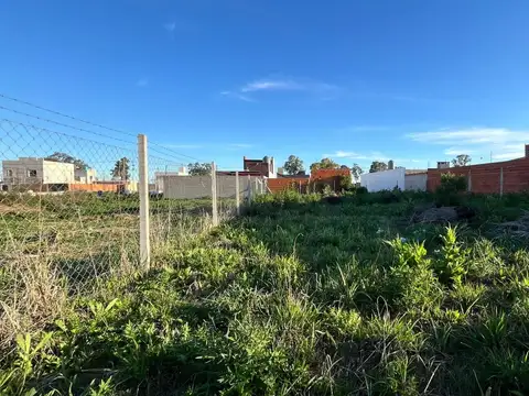 Puerta Del Sol, Lote 100