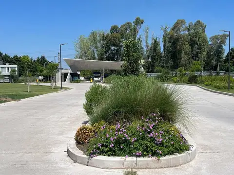 Chacabuco 300