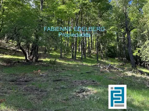 Terreno en Venta de 5000,0 m2
