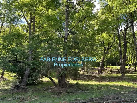 Terreno en Venta en San Martin de los Andes, USD 165.000