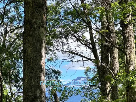 Camino al Lolog Barrio La reserva sobre costa de arroyo