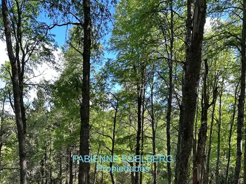 Terreno en Venta de 5000,0 m2