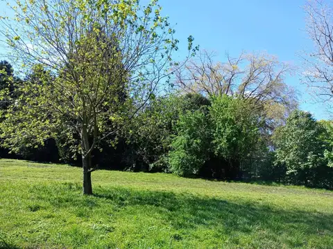 Terreno en Venta de 403,0 m2