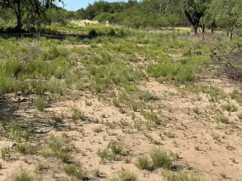 Terreno en Venta de 2500,0 m2