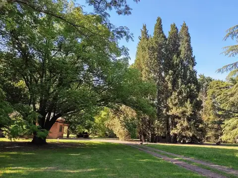 Terreno en Venta de 72200,0 m2