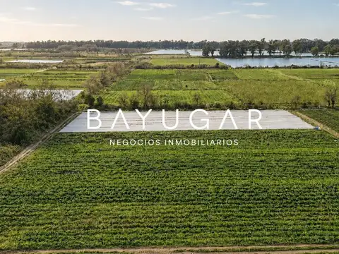 Campo en Venta en El Dorado  - ruta 28, Pilar